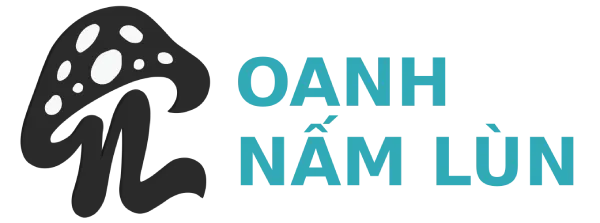 oanhnamlun.com