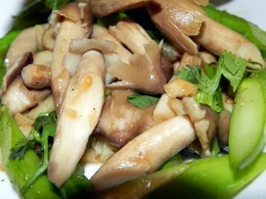 7 Lợi Ích Vàng Của Nấm Mối Đen: Siêu Thực Phẩm Cho Sức Khỏe