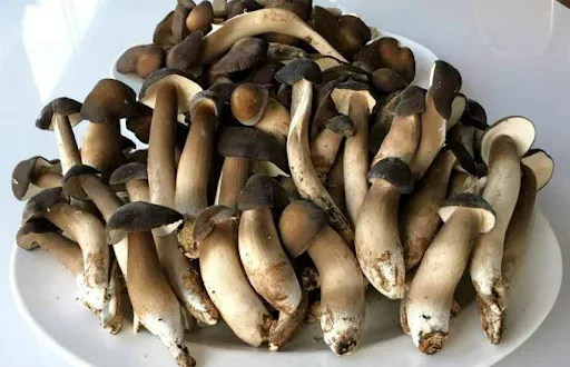 Cách Bảo Quản Nấm Mối Đen Tươi Lâu, Không Bị Nhũn